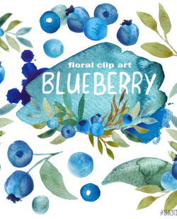 Blueberry clip art – SANDRAAS