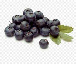 Blueberry Juice Fruit - blueberry png download - 1024*849 - Free ...
