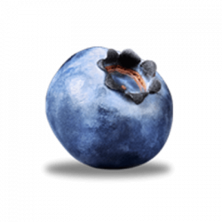 Blueberry PNG Transparent Blueberry.PNG Images. | PlusPNG