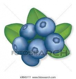 Pin by Pink Maiden on ClipArt | Pinterest | Blueberry