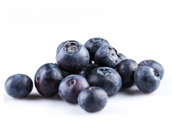 organic blueberries - Veg-Fresh Farms Retailer