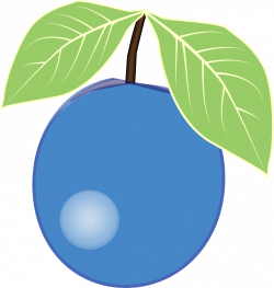 single blueberry clipart - OurClipart