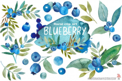 Blueberry watercolor clip art ~ Illustrations ~ Creative Market