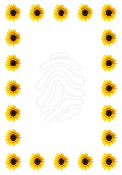 free sunflower page borders for word - Google Search | Borders ...