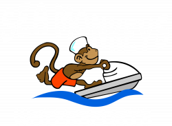 Nature Tours — Sea Monkeys Watersports