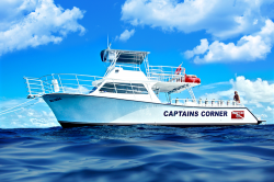 Scuba Dive Center and Snorkeling, Captains Corner Key West Fl.