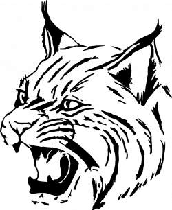 Bobcat Clip art - wolf-head png download - 1043*1280 - Free ...