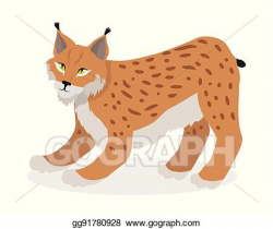 Vector Illustration - Lynx, bobcat, wildcat isolated on ...