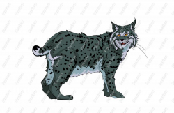 Realisitic Bobcat Character Clip Art - Royalty Free Clipart - Vector ...