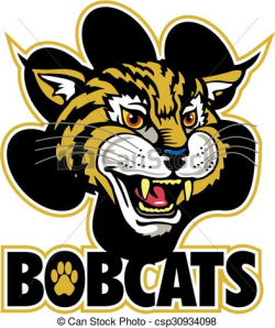 bobcat clipart bobcats mascot team design with mascot head and large ...