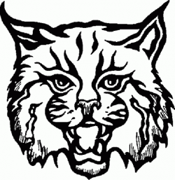 Bobcats Drawing at GetDrawings.com | Free for personal use Bobcats ...