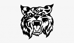 Bobcats Drawing At Getdrawings - Wildcat Clipart Transparent ...