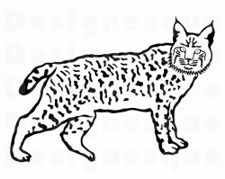 Bobcat SVG, Wild Cat Svg, Bobcat Clipart, Bobcat Files for Cricut, Bobcat  Cut Files For Silhouette, Bobcat Dxf, Bobcat Png, Eps, Vector