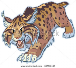 Vector cartoon clipart #stockillustration of a #bobcat or #wildcat ...