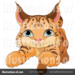 Bobcat Clipart #1331737 - Illustration by Pushkin
