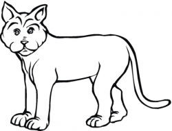 Lynx 19 coloring page | Free Printable Coloring Pages