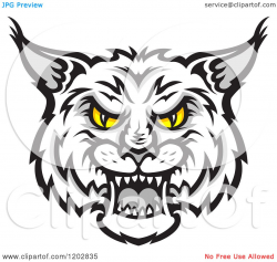 Interesting Design Ideas Bobcat Clipart Wildcat Mascot An Angry ...