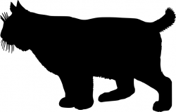 Bobcat clipart silhouette - Pencil and in color bobcat clipart ...