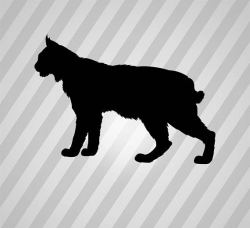 bobcat Silhouette Svg Dxf Eps Silhouette Rld RDWorks Pdf Png | RVC ...