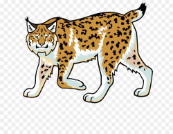 Eurasian lynx Bobcat Wildcat Felidae Clip art - Hand-painted leopard ...