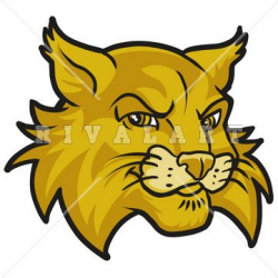 Mascot Clipart Image of Wildcats Head In Color | Wildcat Clipart ...