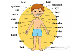 Anatomy Clipart- boy-body-anatomy-body-parts-labeled - Classroom Clipart