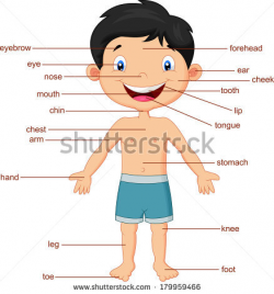 Face parts body clipart for doctors collection