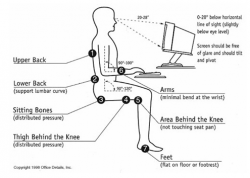 Health Benefits of Proper Body Posture | The Only Place to Buy ...