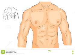 body chest clipart 8 | Clipart Station