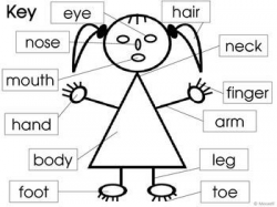Awesome face body parts clipart | mary | Pinterest | Worksheets