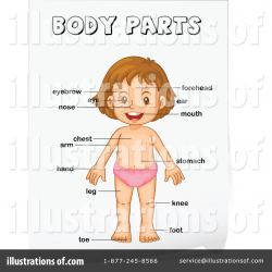 Body Parts Clipart #1140638 - Illustration by Graphics RF