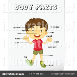 Body Parts Clipart #1140633 - Illustration by Graphics RF