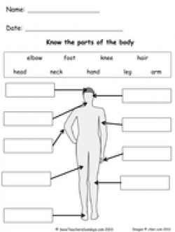 Parts of the Body lesson plan and worksheets by SaveTeachersSundays ...