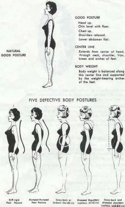 59 best Posture images on Pinterest | Exercises, Gymnastics and History