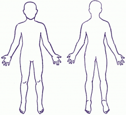 clipart human body outline clipart human body outline human body ...