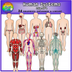 Human Systems Clipart | Body template, Teaching science and Teaching ...