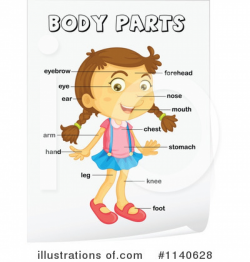 Human Body For Children Clipart Body Parts Children Clipart Body ...