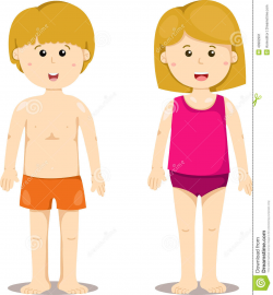 28+ Collection of Girl Body Clipart For Kids | High quality, free ...