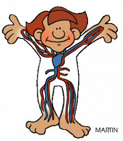 28+ Collection of Human Body Clipart Transparent | High quality ...