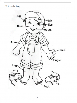 witch worksheets for preschool | Human Body Coloring Pages For Kids ...