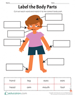 Label Body Parts Worksheet for Kindergarten | Homeshealth.info