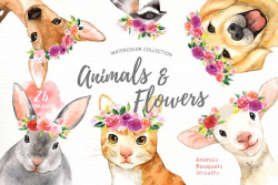 Animals & Flowers Watercolor Clipart ~ Illustrations ~ Creative Market