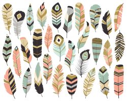 Tribal Feathers Clipart Set of 31 Vector PNG & JPG Files