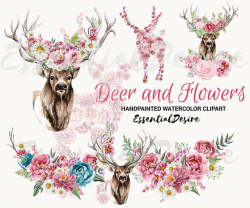 Deer Watercolor Clipart, Antlers Clipart, Floral Deer, Rustic ...