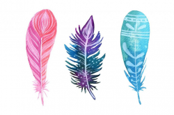Feather Clipart - cilpart