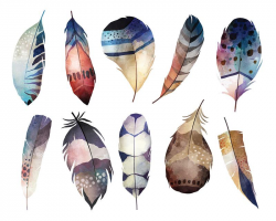 Watercolor Feathers Clipart - Boho Watercolor Feathers Digital Clip ...