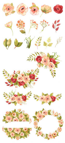 Flower clipart Floral clipart Roses watercolor clipart Roses clipart ...