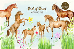 Horse Clip art, herd of horses, watercolor horse, horse clipart ...