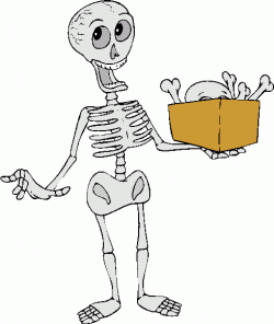 Healthy Bones, the true story you are not being told.