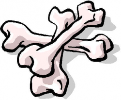 bones clip art bones clipart wikiclipart - taloali.us